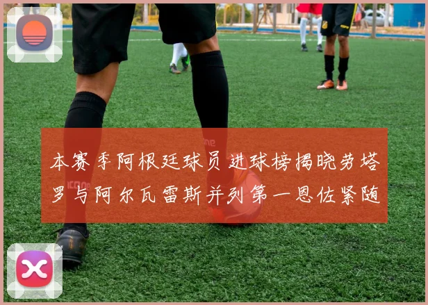 本赛季阿根廷球员进球榜揭晓劳塔罗与阿尔瓦雷斯并列第一恩佐紧随其后