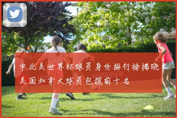 中北美世界杯球员身价排行榜揭晓美国加拿大球员包揽前十名