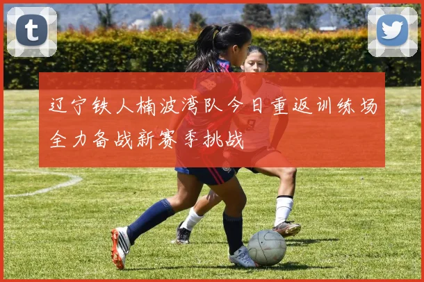 辽宁铁人楠波湾队今日重返训练场全力备战新赛季挑战