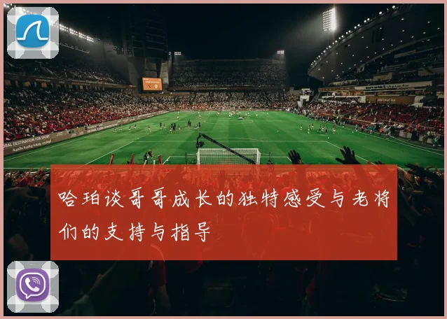 哈珀谈哥哥成长的独特感受与老将们的支持与指导